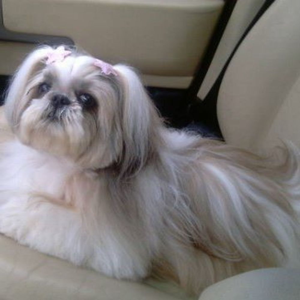 Meet your Posher, Thelaine